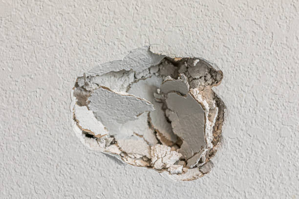 Drywall and Structure Repair